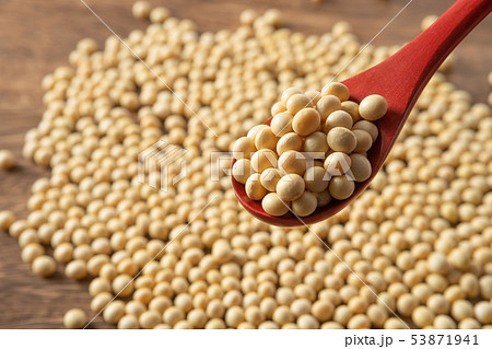 大豆 大豆 53871941