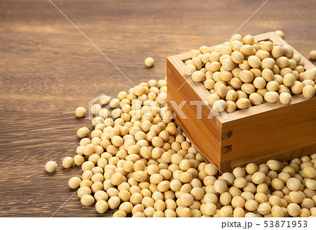 大豆 大豆 53871953