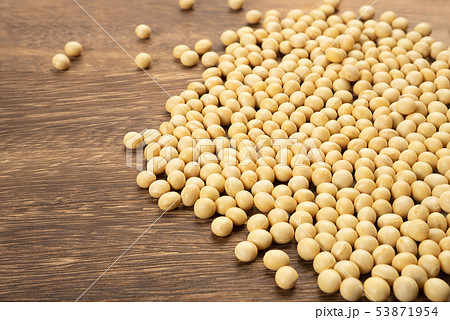 大豆 53871954