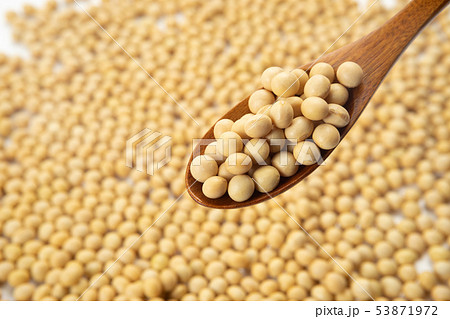 大豆 大豆 53871972