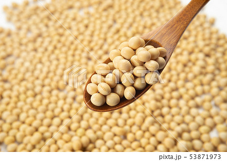 大豆 53871973