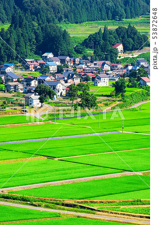 夏の農村風景 （７月） 53872648
