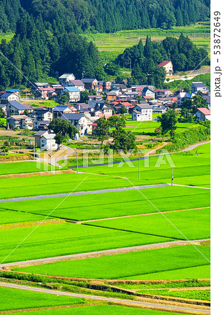 夏の農村風景 （７月） 53872649
