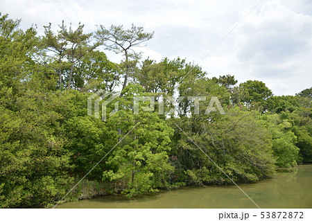 【大阪府 堺市】世界遺産・百舌鳥古墳群(仁徳天皇陵古墳) 【大阪府 堺市】世界遺産・百舌鳥古墳群(仁徳天皇陵古墳) 53872872