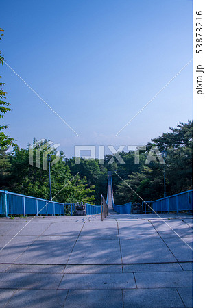八幡山公園 アドベンチャーブリッジ 栃木県 八幡山公園 アドベンチャーブリッジ 栃木県 53873216