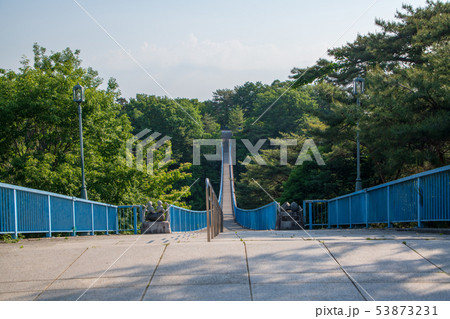 八幡山公園 アドベンチャーブリッジ 栃木県 八幡山公園 アドベンチャーブリッジ 栃木県 53873231