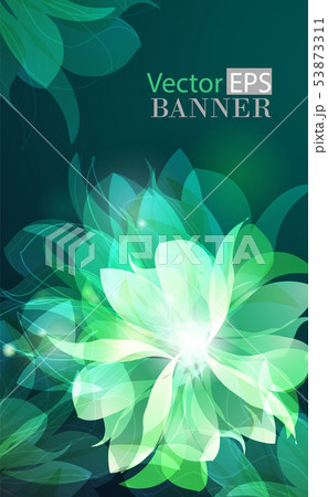 Abstract colorful background with flowers 53873311