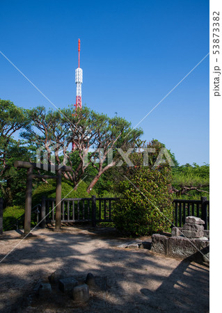 八幡山公園　一等三角点地点展望台からの宇都宮タワー　栃木県 53873382