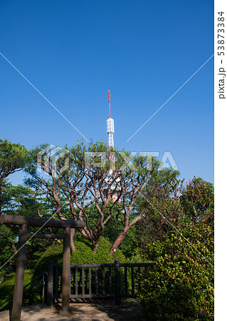 八幡山公園　一等三角点地点展望台からの宇都宮タワー　栃木県 53873384