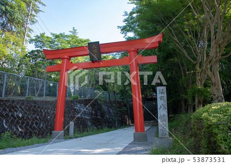 八幡山公園 塙田八幡宮 栃木県 八幡山公園 塙田八幡宮 栃木県 53873531