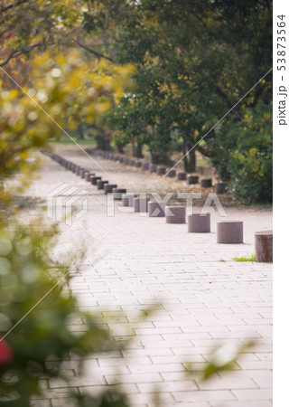 秋の難波宮跡公園 秋の難波宮跡公園 53873564