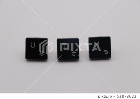 UTM文字列 53873623