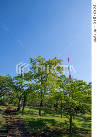 八幡山公園　宇都宮タワー　栃木県 53873803