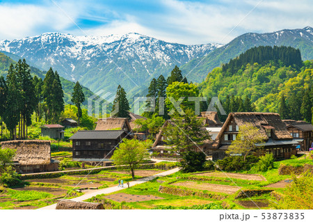 《富山県》相倉合掌造り集落・新緑シーズン 53873835