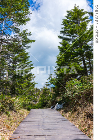 坪庭自然園:探勝路 茅野市 坪庭自然園:探勝路 茅野市 53873861