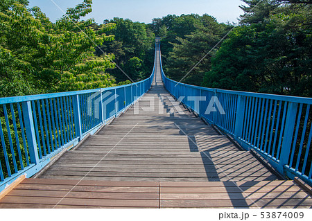 八幡山公園　アドベンチャーブリッジ　栃木県 53874009