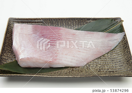 北海道産 真カスベ(エイ)の切り身 北海道産 真カスベ(エイ)の切り身 53874296