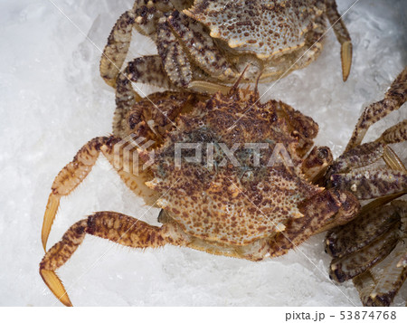 市場に並んだクリガニ 53874768