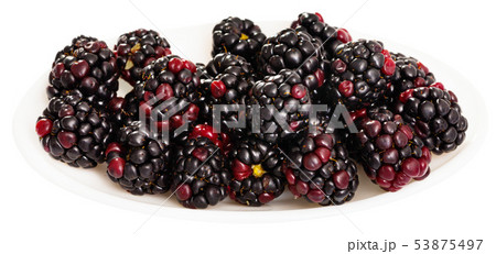 Fresh bramble on white background 53875497