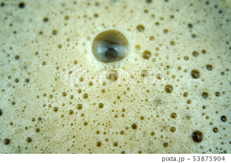 ビール 術 酒 53875904