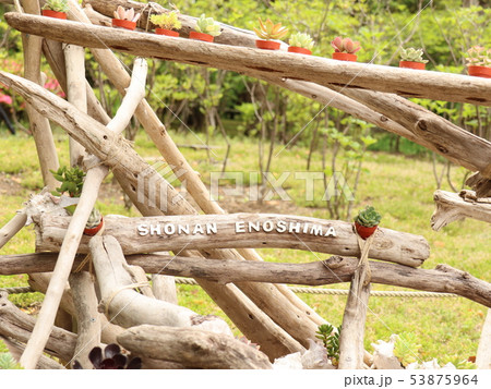 江の島 江の島 53875964