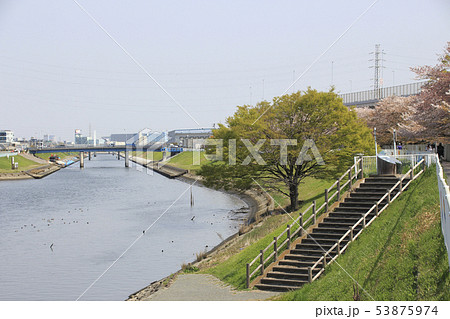足立区鹿浜:春の芝川最下流にて 足立区鹿浜:春の芝川最下流にて 53875974
