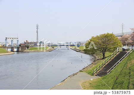足立区鹿浜:春の芝川最下流にて 足立区鹿浜:春の芝川最下流にて 53875975