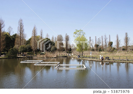 春の川口自然公園にて（埼玉県川口市） 53875976