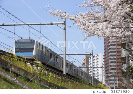 春の京浜東北線E233系 春の京浜東北線E233系 53875980
