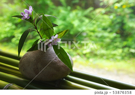 イセハナビの一輪挿し 53876358