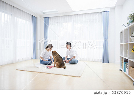 犬との生活 53876919