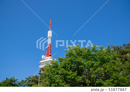 八幡山公園　宇都宮タワー　栃木県 53877887