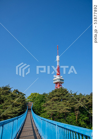 八幡山公園　宇都宮タワー　栃木県 53877892