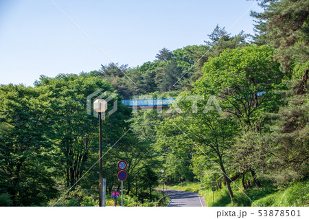 八幡山公園　アドベンチャーブリッジ　栃木県 53878501