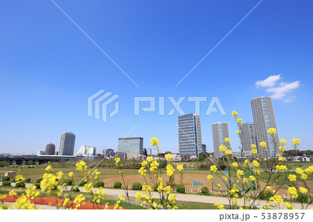 二子玉川市街地遠景 53878957