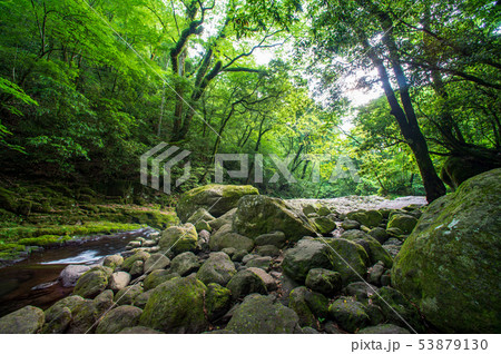 風景 風景 53879130