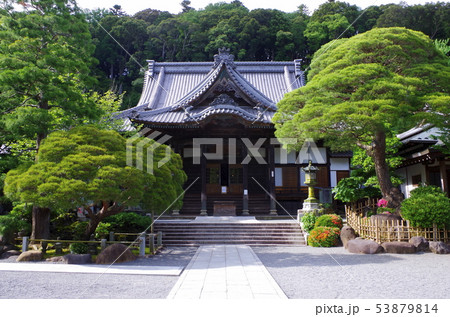 修禅寺 修禅寺 53879814