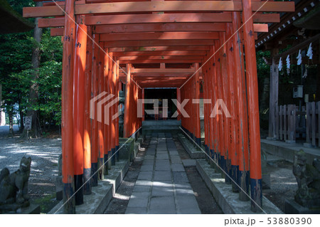 宇都宮二荒山神社 初辰稲荷神社 下野の国一之宮 栃木県 宇都宮二荒山神社 初辰稲荷神社 下野の国一之宮 栃木県 53880390