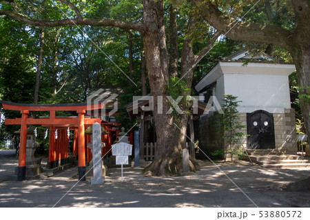 宇都宮二荒山神社 初辰稲荷神社 下野の国一之宮 栃木県 宇都宮二荒山神社 初辰稲荷神社 下野の国一之宮 栃木県 53880572