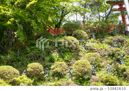 高尾山 高尾山薬王院 本社(権現堂)前の三十六童子像 高尾山 高尾山薬王院 本社(権現堂)前の三十六童子像 53882610