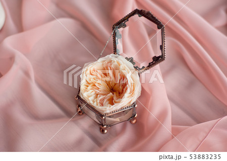 Wedding decor vintage glass square box with peony rose inside and wedding ring invitation card. Wedding decor vintage glass square box with peony rose inside and wedding ring invitation card. 53883235