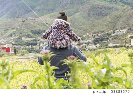 Father carrying her girl on shoulder in canola 53883576