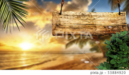 Tropical holidays and beach vacation Tropical holidays and beach vacation 53884920