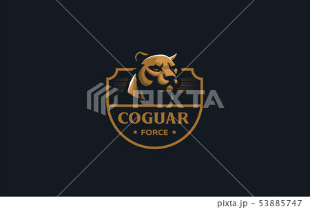 The image of a coguar or panter. The image of a coguar or panter. 53885747