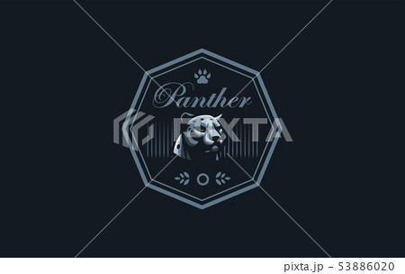 The image of a coguar or panter. The image of a coguar or panter. 53886020