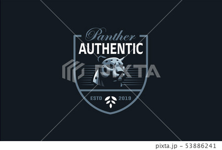 The image of a coguar or panter. The image of a coguar or panter. 53886241