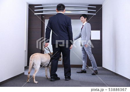 視覚障害者の案内 01 53886367