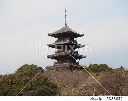 新春の備中国分寺五重塔 53886594
