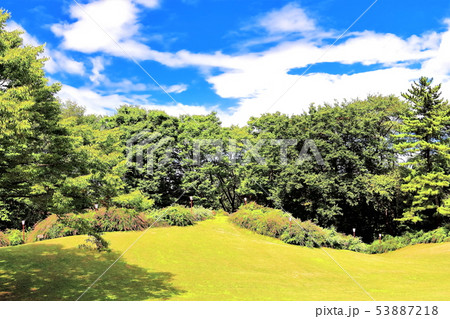 初秋の野草園 53887218