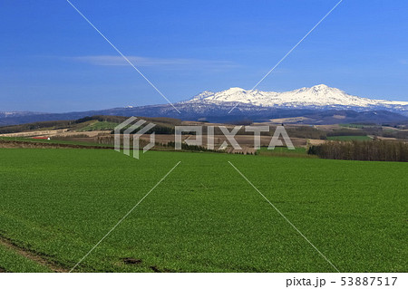 北海道　絶景の青空と草原 53887517